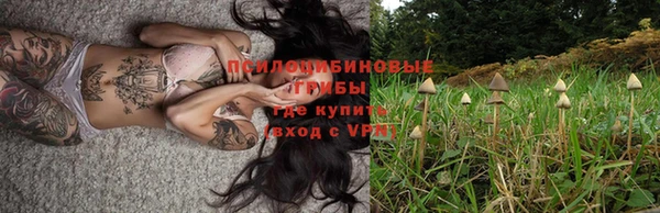 СК Абаза