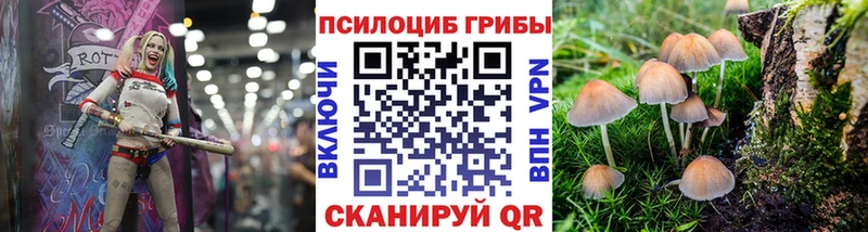 Псилоцибиновые грибы Psilocybine cubensis  купить закладку  Куровское 
